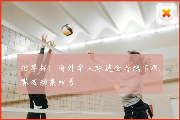 世界杯：海外华人球迷会与线下观赛活动集结号